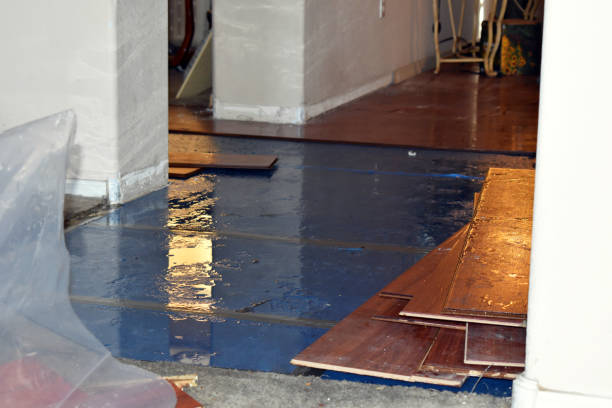 Professional Burst Pipe Cleanup technician working in Egan, LA